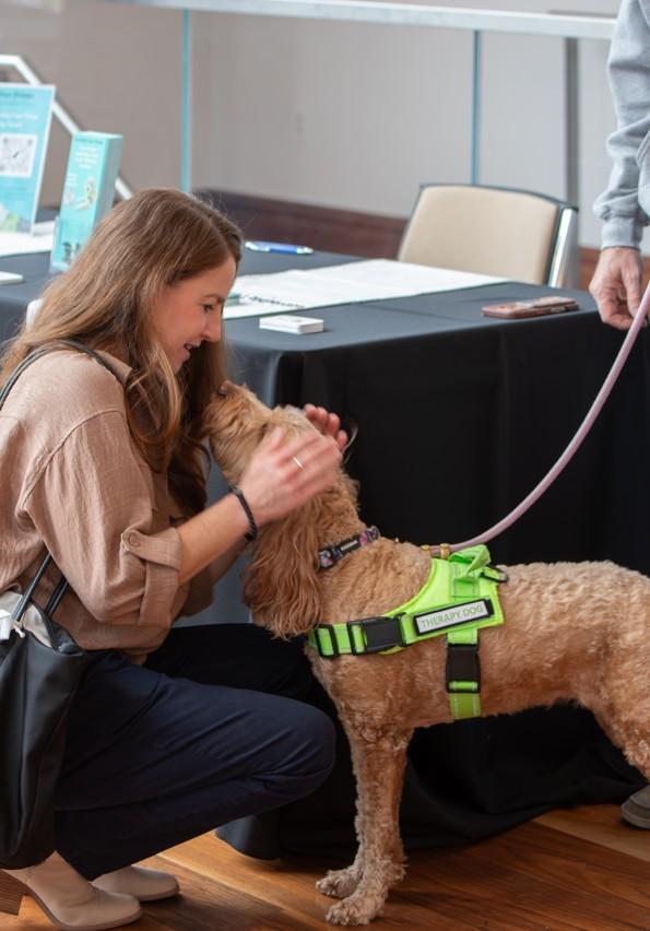 FFTC Connects - Animal Welfare