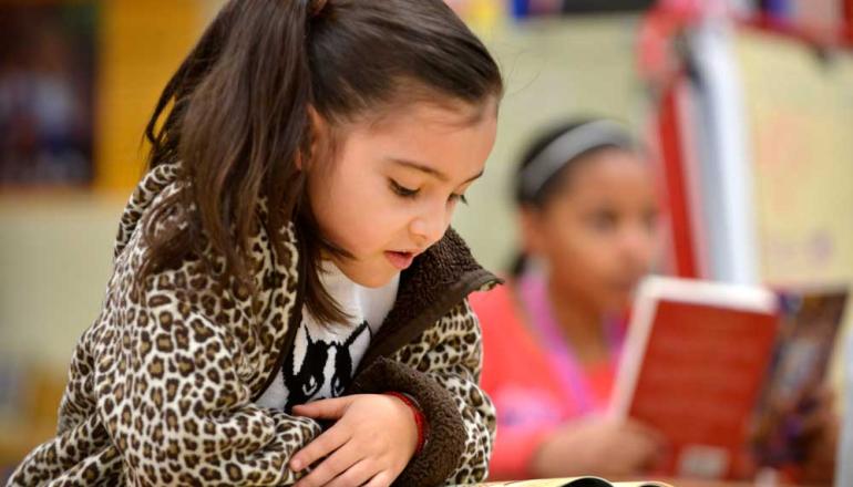 Young girl reading a book